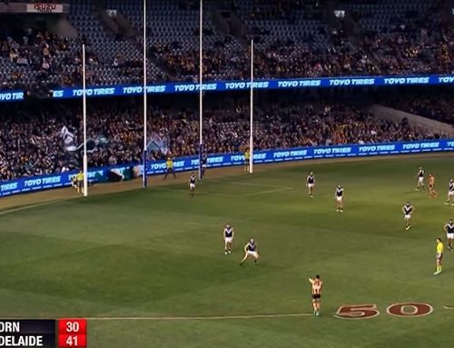 Major Cricket Ground Upgrades